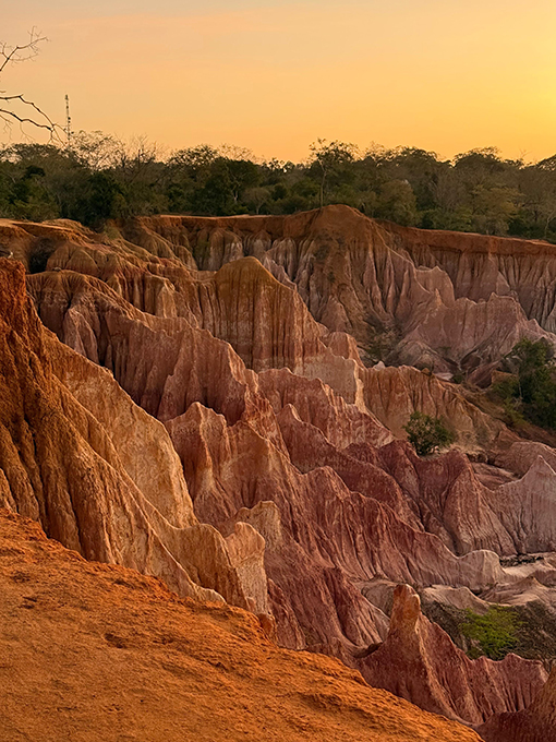 Mister Holiday Roma est