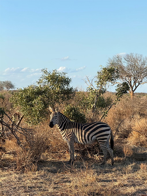 Mister Holiday Roma est