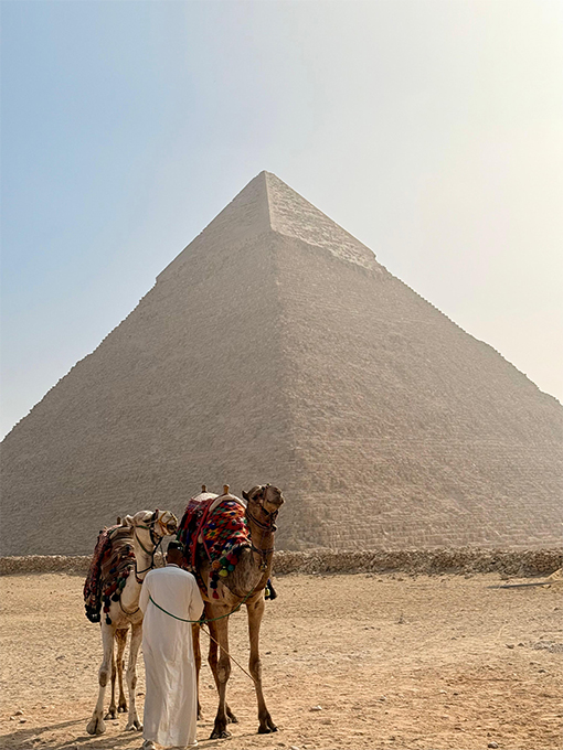 Mister Holiday Roma est