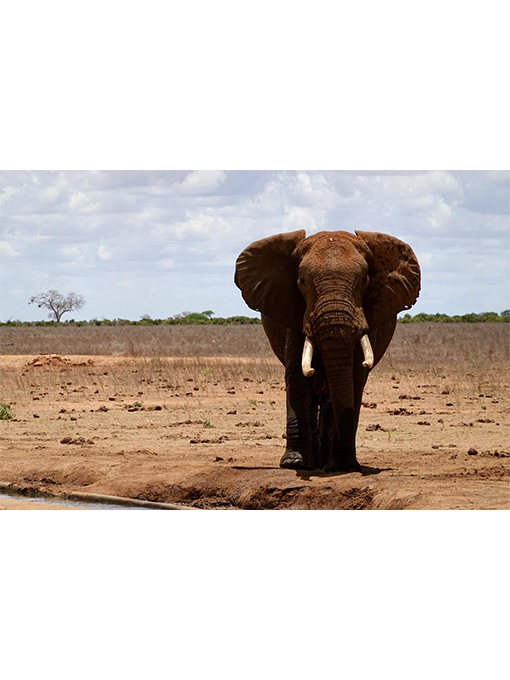 Mister Holiday Roma est