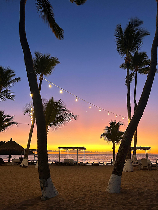 Mister Holiday Roma est