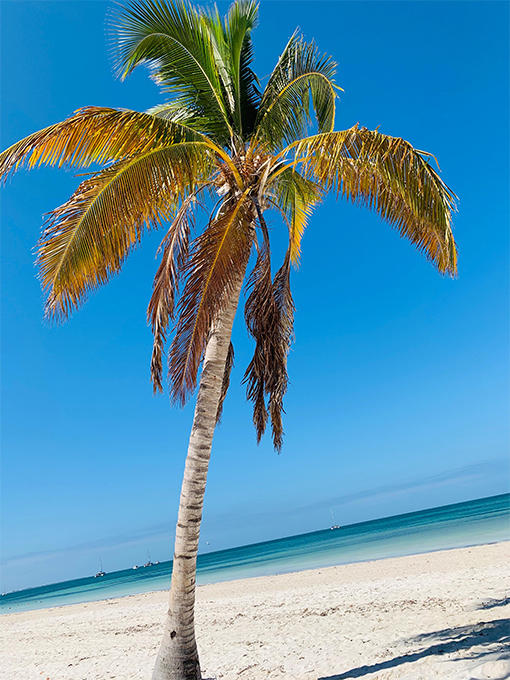 Mister Holiday Roma est