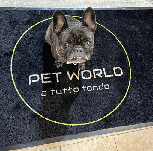 Pet World La casa di Snoopy Mentana