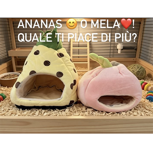 Pet World La casa di Snoopy Mentana