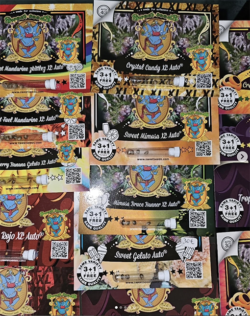 spumoni grow shop Acilia