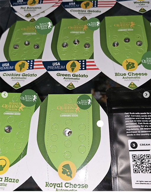 spumoni grow shop Acilia