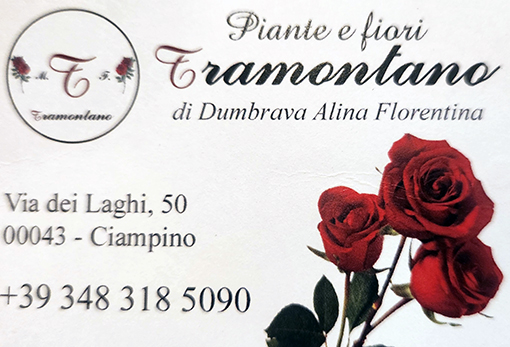 piante e fiori Tramontano Ciampino