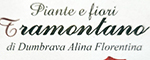 tramontano piante e fiori